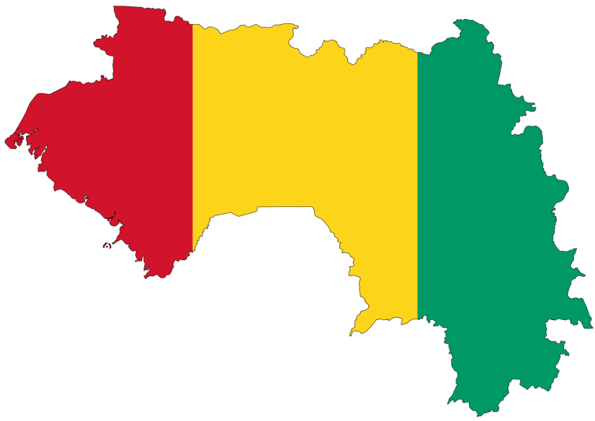 Lire l'article : Guinée : Sommes-nous à la hauteur ?